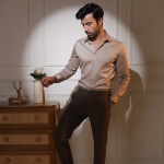 Formal Business Shirts